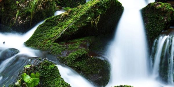 Générateur atmosphérique d'eau potable